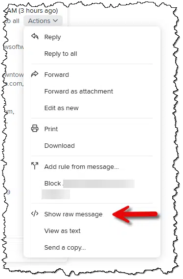 Actions menu with "Show raw message" highlighted.