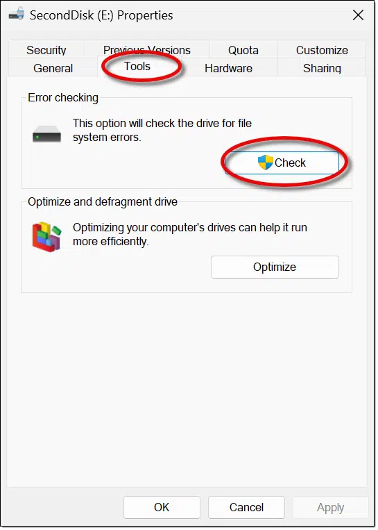 Drive Tools tab showing the Check button.