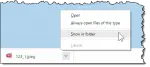 Google Chrome: Show in folder