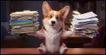 A Corgi looking at the camera, kind of like a balance scale, with one paw holding up a stack of file folders and the other paw holding up a stack of documents and photos.