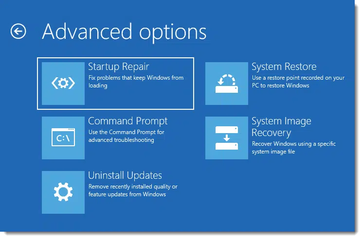 Advanced Options boot menu