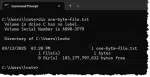 A one byte file displayed in Command Prompt
