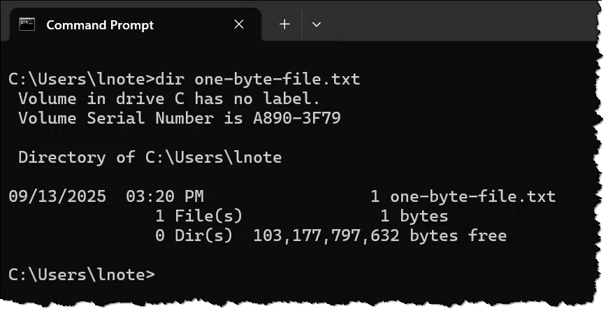 A one byte file displayed in Command Prompt