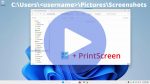 Windows Key + Print Screen