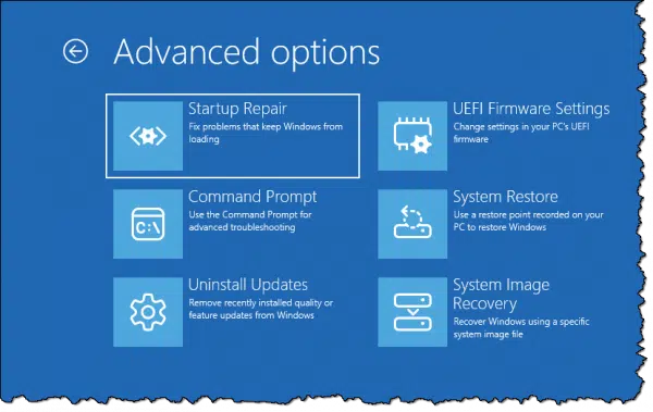 Setup repair advanced options.