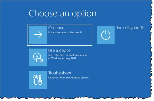 Setup repair menu of options.