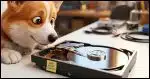 A corgi looking at a close-up, bare hard disk drive with its metallic platters exposed, resting on a clean white surface. Bright, studio-style lighting catches the reflective platter surface. A small sticky note in the corner reads "WIPE BEFORE DONATING" in bold marker.
