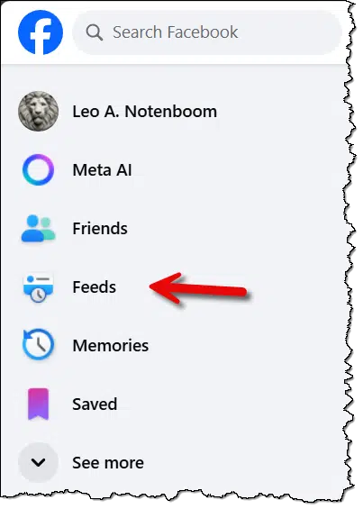 Facebook Feed option.