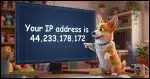 A Corgi standing in front of a very large PC computer screen pointing to that screen. On that screen is the text "Your IP address is 44.233.178.172"