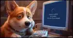 A bored looking Corgi looking at a PC's computer screen displaying "Working on updates".
