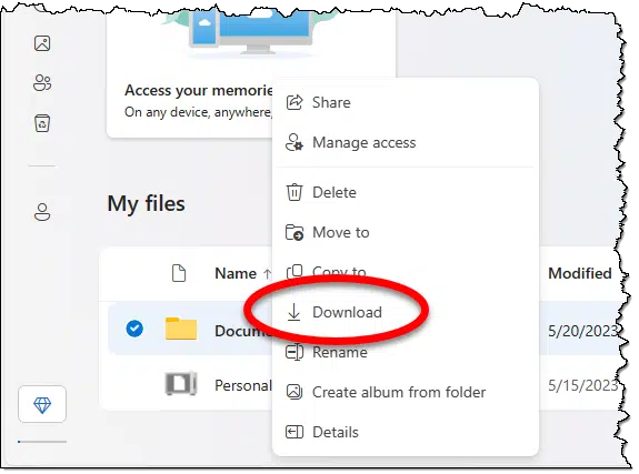 OneDrive online download.