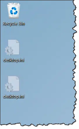 Two desktop.ini files.