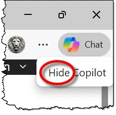 Hide Copilot