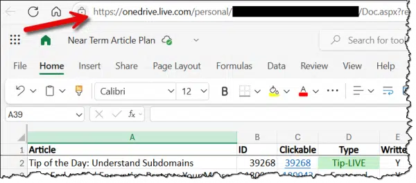 Excel spreadsheet being accessed online.