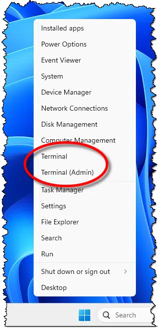 Terminal: regular and Admin.