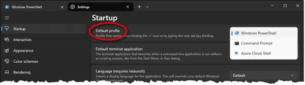 Terminal default profile setting.