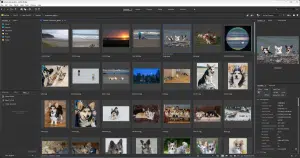 In Search of a Complete Photo Management App
