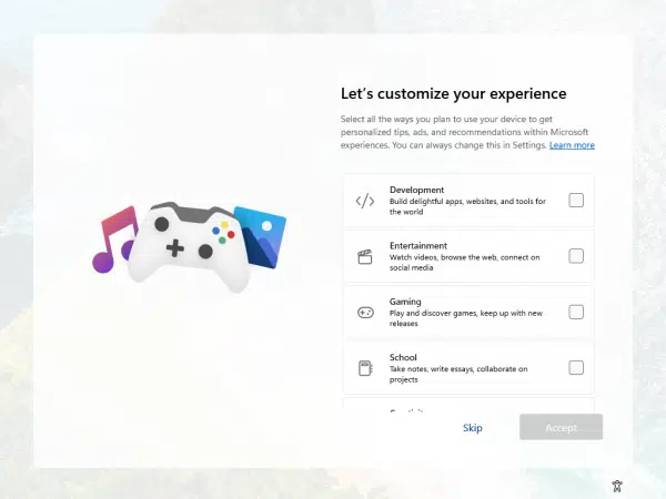 Setup's customize your Windows experience screen.
