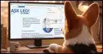 A close up over-the-shoulder perspective of a Corgi using a Windows computer. the attached screenshot is on the screen, and the Corgi has right clicked on the address bar and is about to click on the "Copy" menu item.