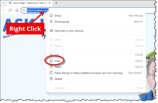 Right click and copy a URL from the address bar.