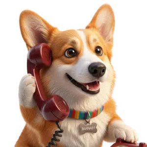 Example of getting a voice call.