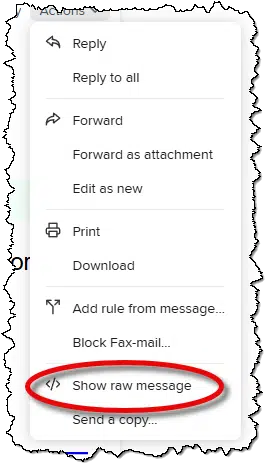 Show Raw Message option.